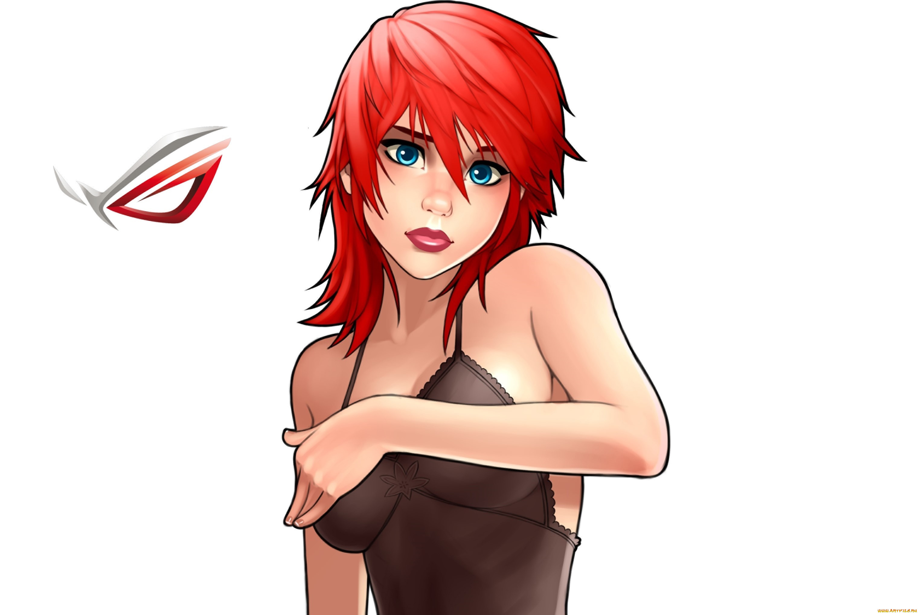 , asus, , , , 